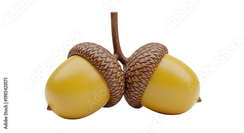 Two Bright Yellow Acorns with Caps