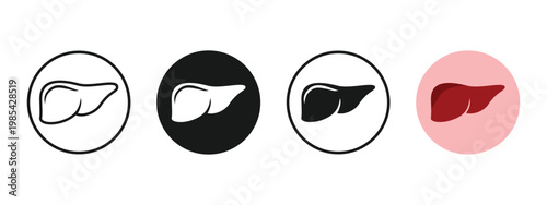 set liver icon in a circle.