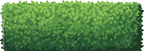 Vibrant green hedge illustration, a dense and lush botanical boundary, perfect for natural scenery and garden design projects