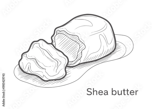 Hand drawn of shea butter chunks a wooden surface outline texture