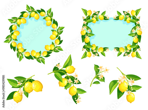 Lemon branches. Citrus flowering tree branches, tropical mediterranean fruits italian lemonade cooking juice summer spring blossom frame wreath border, neat vector illustration