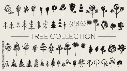 Set of trees in different types in vector.