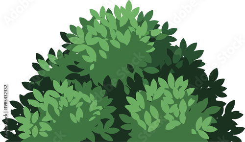 Lush green foliage of densely packed bushes creating a natural, organic hedge with a shadowed background, perfect for landscaping and gardening themes