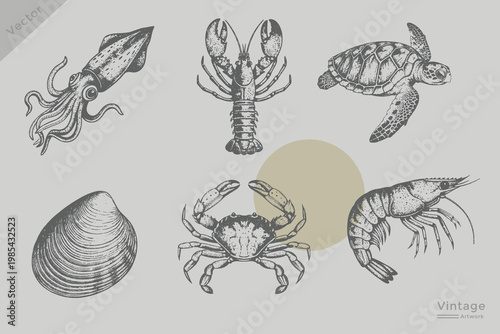 Vintage sea food set vector illustration. Grunge engraving style Shell, crab, lobster, shrimp, squid, turtle collection