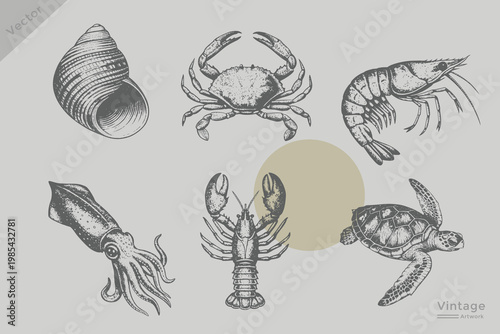 Set of sea food set illustration. Vintage engraving style vector Shell, crab, lobster, shrimp, squid, turtle collection. Realistic seafood Retro grunge dotted texture