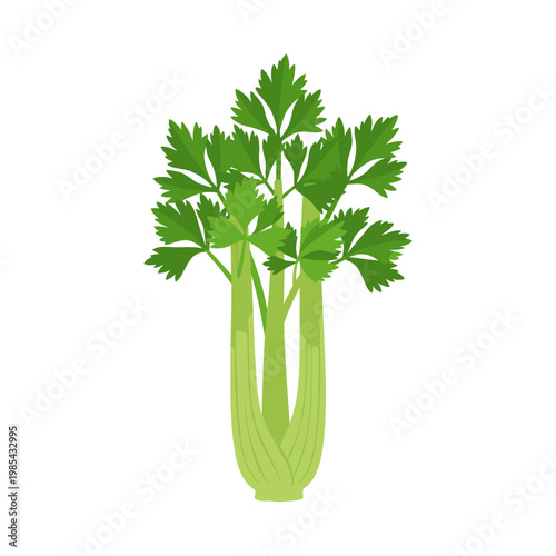 Fresh green celery stalk with vibrant leaves vegetable
