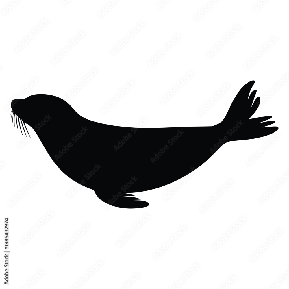 Obraz premium Seal swimming side view Vector, Silhouette, Illustration