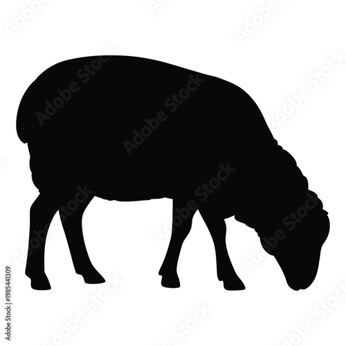 Sheep grazing with head down Vector, Silhouette, Illustration