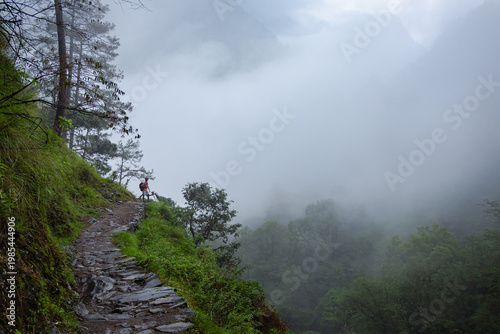 Photography A serene stone pathway winds through a lush green forest on a foggy day near Mad