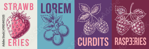 Strawberry lorem curdis raspberries fruit illustration vintage retro style graphic resource.