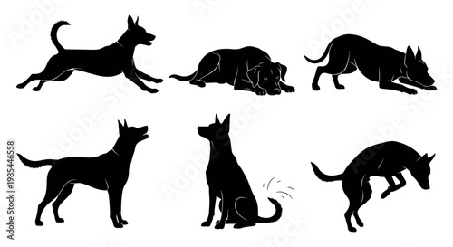 Collection of dog silhouettes in various action poses including running sitting and jumping for pet care and veterinary design concepts