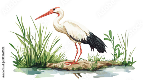 Djoudj National Bird Sanctuary. Djoudj National Bird Sanctuary hand drawn watercolor illustration on white background