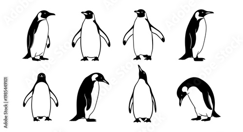 Set of eight emperor penguin silhouettes in various poses isolated on white background for wildlife design projects