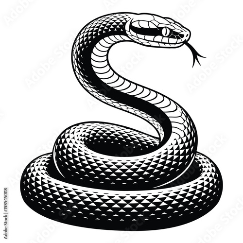 Snake Coiled with Head Raised in Defensive Pose Vector, Silhouette, Illustration