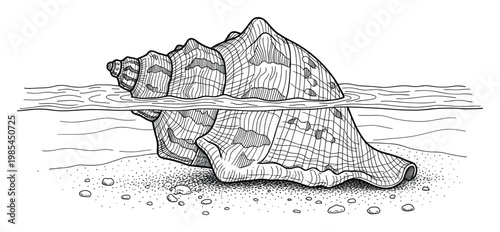 Detailed line drawing of a large conch shell emerging from clear ocean water onto a textured sandy beach ideal for marine life educational materials or nautical themed decor.