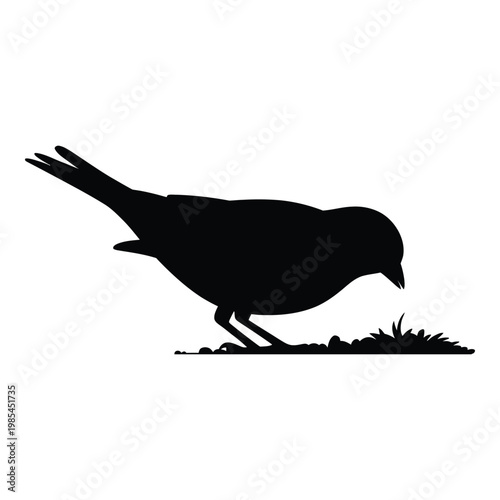 Sparrow Feeding on Ground in Natural Setting Vector, Silhouette, Illustration