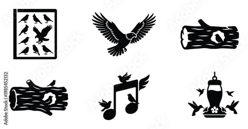 Collection of diverse bird species silhouettes featuring majestic eagles, small feeder birds, and musical note motifs, ideal for nature conservation and wildlife education applications