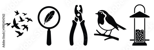 Birdwatching essentials featuring flying birds, a magnifying glass with a feather, banding pliers, a perching bird, and a bird feeder for nature observation projects