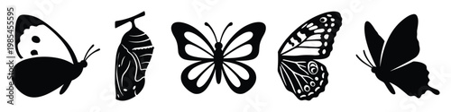 Black silhouettes of various butterfly forms and chrysalis illustrating metamorphosis perfect for educational materials and nature themed projects
