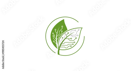 Eco friendly leaf logo design.