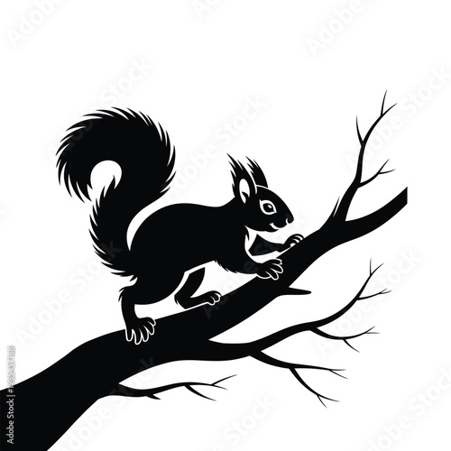 Squirrel Climbing a Tree Branch in Natural Habitat Vector, Silhouette, Illustration