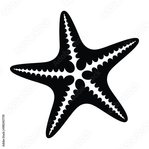 Starfish Side View Slightly Tilted on Sandy Surface Vector, Silhouette, Illustration