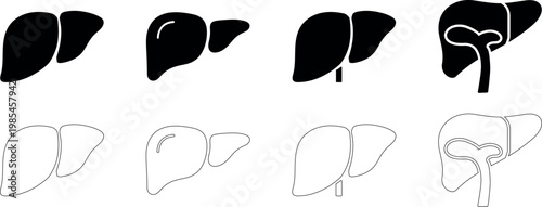 Human Liver Icon Set – Outline and Solid Design
