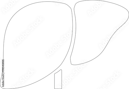 An isolated liver icon drawing. Concept of liver sticker, organ drawing and painting icon. Transparency. Liver donation. Body part study, anatomy. Artwork Black and white line. 
