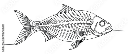 Continuous line drawing of a fish skeleton, perfect for educational materials, biology diagrams, or minimalist aquatic themed graphic projects and decor