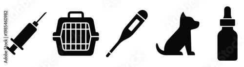 Essential veterinary equipment and pet care supplies including a syringe, animal carrier, thermometer, and medicine dropper bottle for animal health and wellness services, perfect for pet