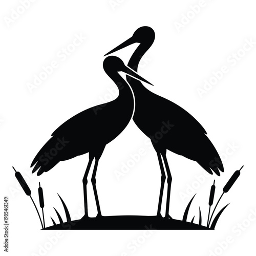 Stork Head Close-Up with Long Beak Clearly Visible Vector, Silhouette, Illustration
