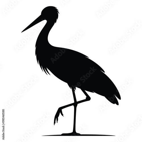 Stork Standing on One Leg in Natural Wetland Vector, Silhouette, Illustration