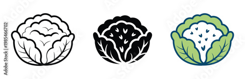 Set of cauliflower icons in line art, solid black, and green with rain isolated on transparent background, modern flat and outline styles for organic farming