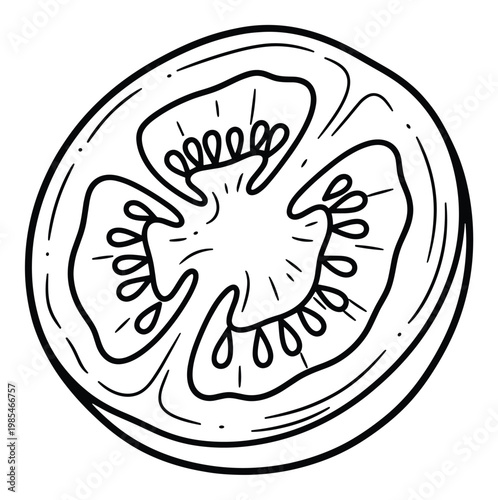 Simple outline drawing of a fresh red tomato slice showing the internal structure with seeds ideal for healthy food concepts, cooking recipes, and nutritional education graphics
