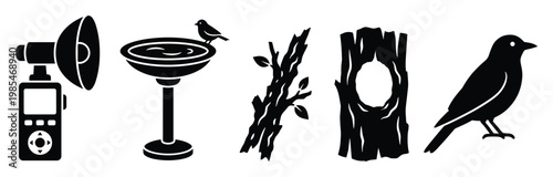 Versatile graphic set presenting essential photography lighting equipment, an inviting birdbath with a small bird, a natural tree branch, a tree trunk cavity, and a solitary bird