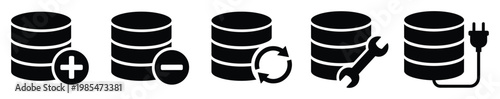 Database management operation icons representing data add remove update maintenance and connection for software development and IT infrastructure applications