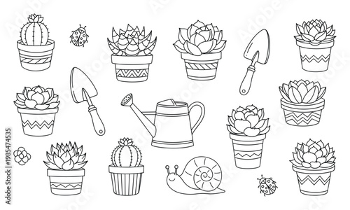 Line drawing collection of potted succulents, cacti, gardening tools, ladybugs, and a snail, excellent for childrens coloring books, educational resources, and nature themed craft projects.