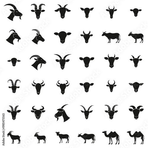 Set of farm animal heads and full body silhouettes, various livestock species, including goat, sheep, cow, and camel, vector icons.