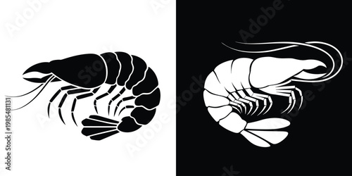 Dual shrimp illustrations in contrasting black and white, showcasing intricate details and elegant.