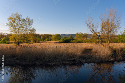 Wallpaper Mural Aulandschaft bei Sporkenheim (Ingelheim) Torontodigital.ca