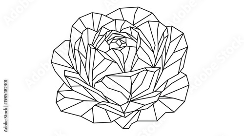 Geometric Lettuce Head Line Art | Fresh Leafy Green Logo | Polygonal Romaine Lettuce Illustration