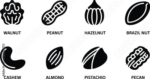 Variety of nuts walnut peanut hazelnut brazil nut cashew almond pistachio pecan