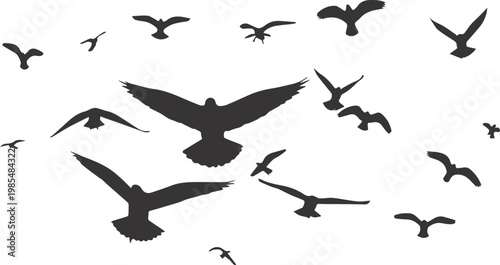 Birds soaring in a dense group demonstrate a complex aerial motion through these dark silhouettes.