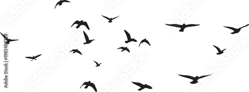 Birds scattered in flight form a natural formation of silhouettes isolated on a clean white backdrop.