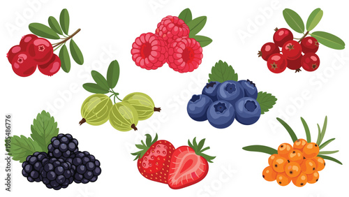Diverse collection of different types of fresh berries including strawberries, blueberries, raspberries, and blackberries.