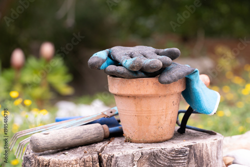 Gloves, pot and some old gardening tools on a wooden log in the garden