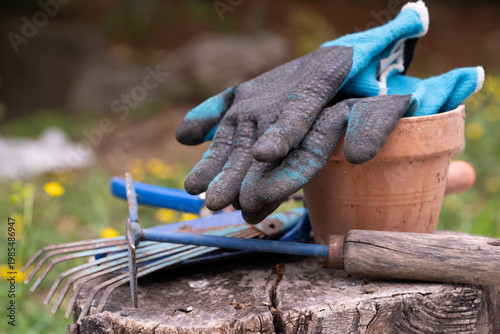Gloves, pot and some old gardening tools on a wooden log in the garden