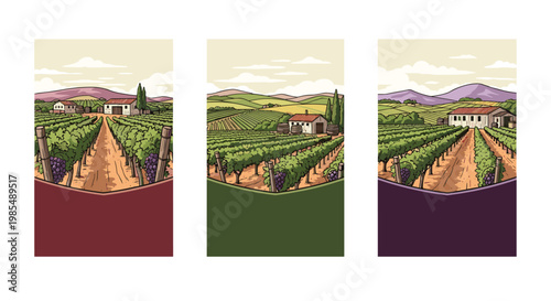 Trio of vertical banners showcases beautiful vineyard landscapes with rolling hills, farmhouses, and rows of grapevines under a soft sky.
