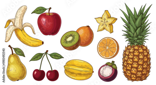 Vibrant collection of hand-drawn fruits including a banana, apple, orange, pineapple, pear, cherries, kiwi, starfruit, and mangosteen.
