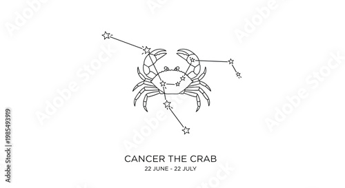 Cancer zodiac sign astrology illustration featuring a detailed crab silhouette integrated with its corresponding celestial star constellation.